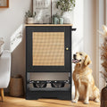 Feeding Station With 1 Storage Cabinets Pet Feeding Station With 2 Elevated Dog Bowls Side Hooks Anti Tip Kit