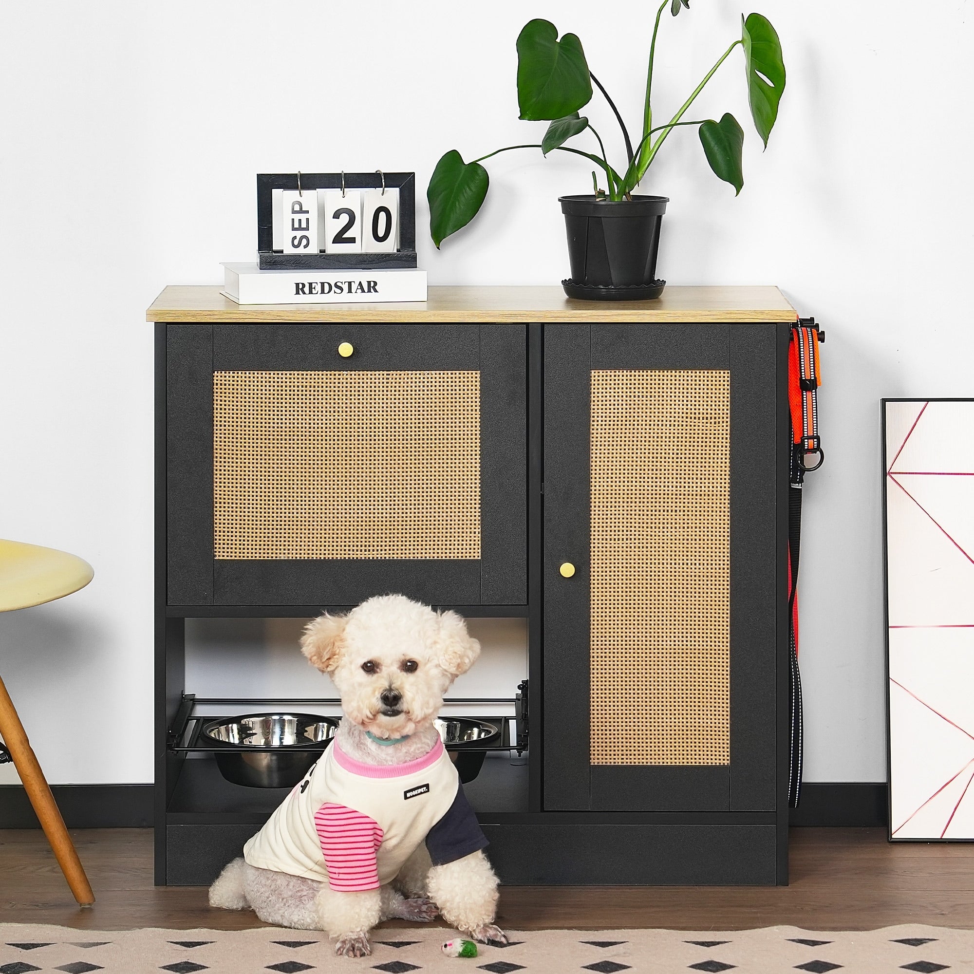 Feeding Station With 2 Lockers Pet Feeding Station With 2 Elevated Dog Bowls Side Hooks Hidden Pet Feeding Station