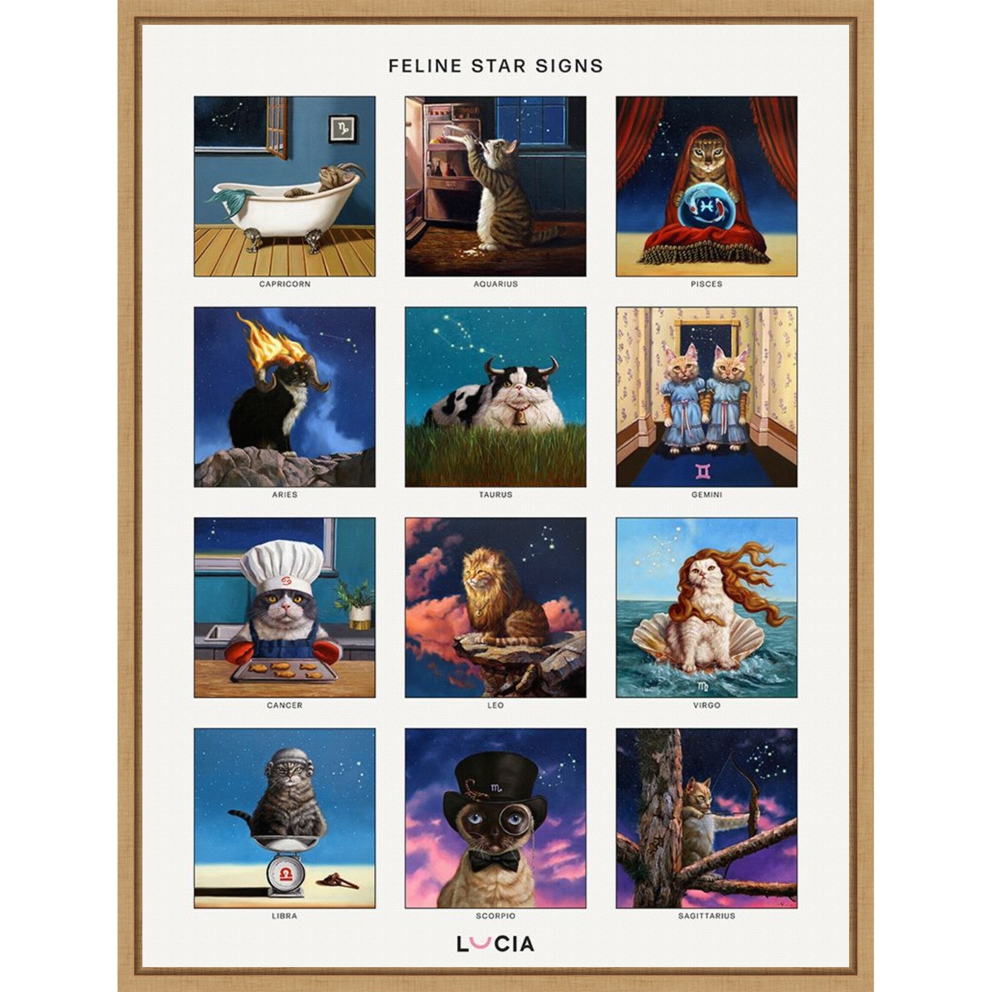 Feline Star Signs By Lucia Heffernan Framed Canvas Wall Art Print