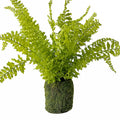 Fern Plant With Mossy Base 21 H