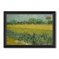 Field With Irises Near Arles 1888 Vincent Van Gogh Custom Framed Canvas