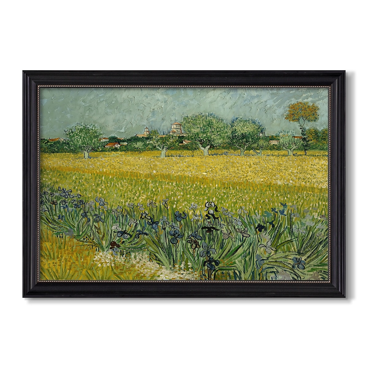 Field With Irises Near Arles 1888 Vincent Van Gogh Custom Framed Canvas