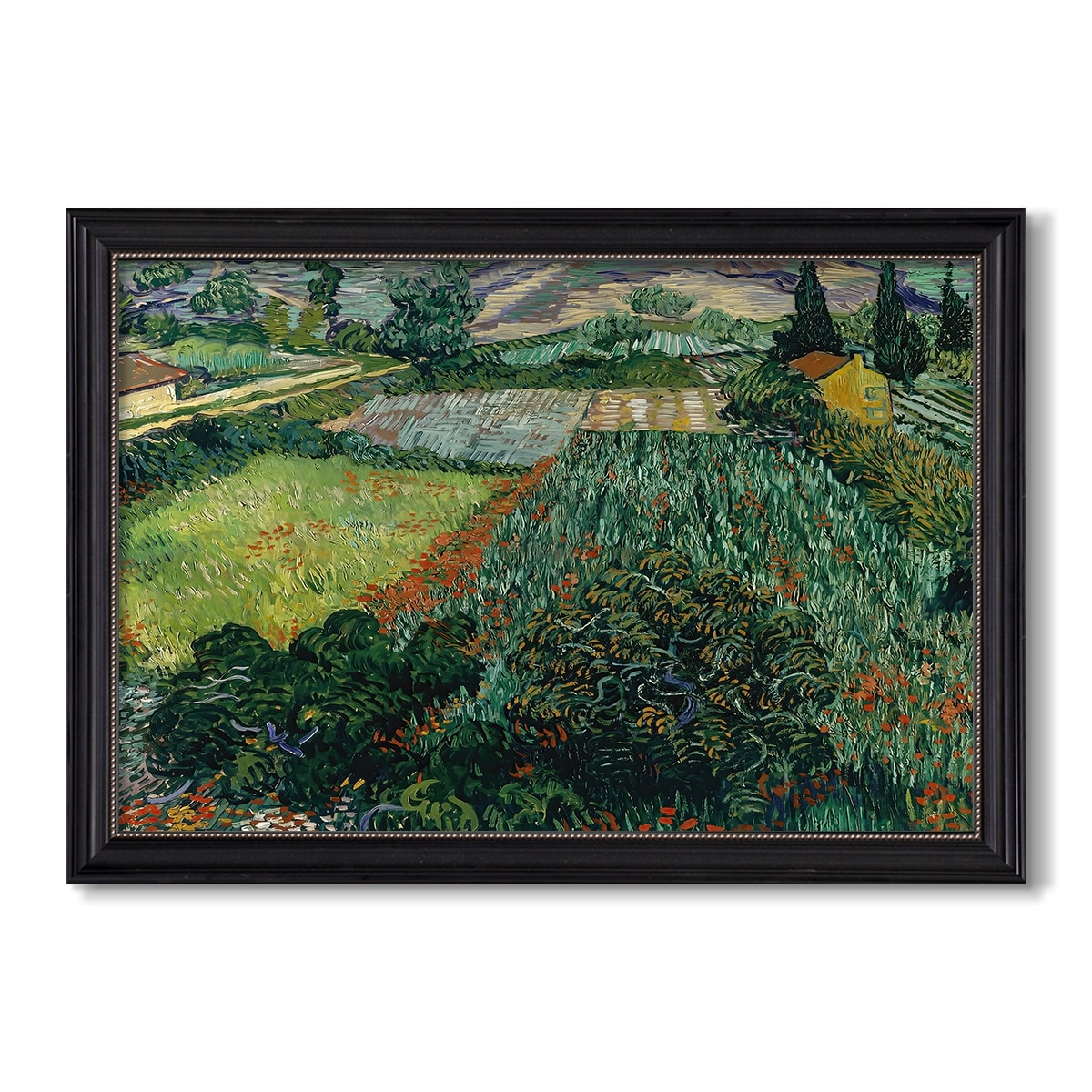 Field With Poppies Saint Remy 1889 Vincent Van Gogh Custom Framed Canvas
