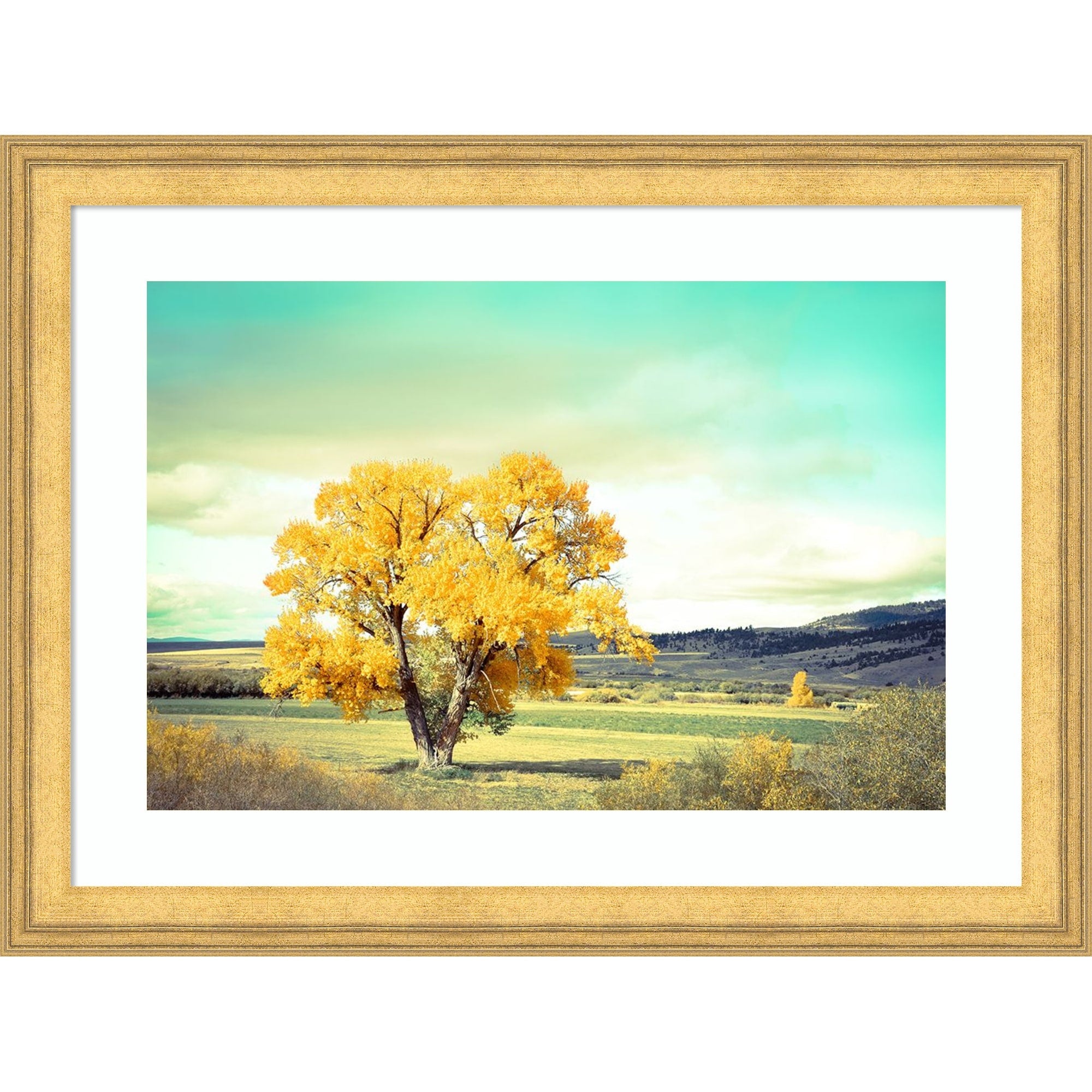 First Tree To Turn By Annie Bailey Art Wood Framed Wall Art Print Owen Gold