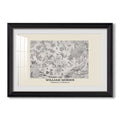 Fleurs 1866 Felix Bracquemond Custom Framed Print