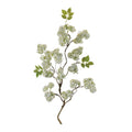 Floral Twig Branch Set Of 2