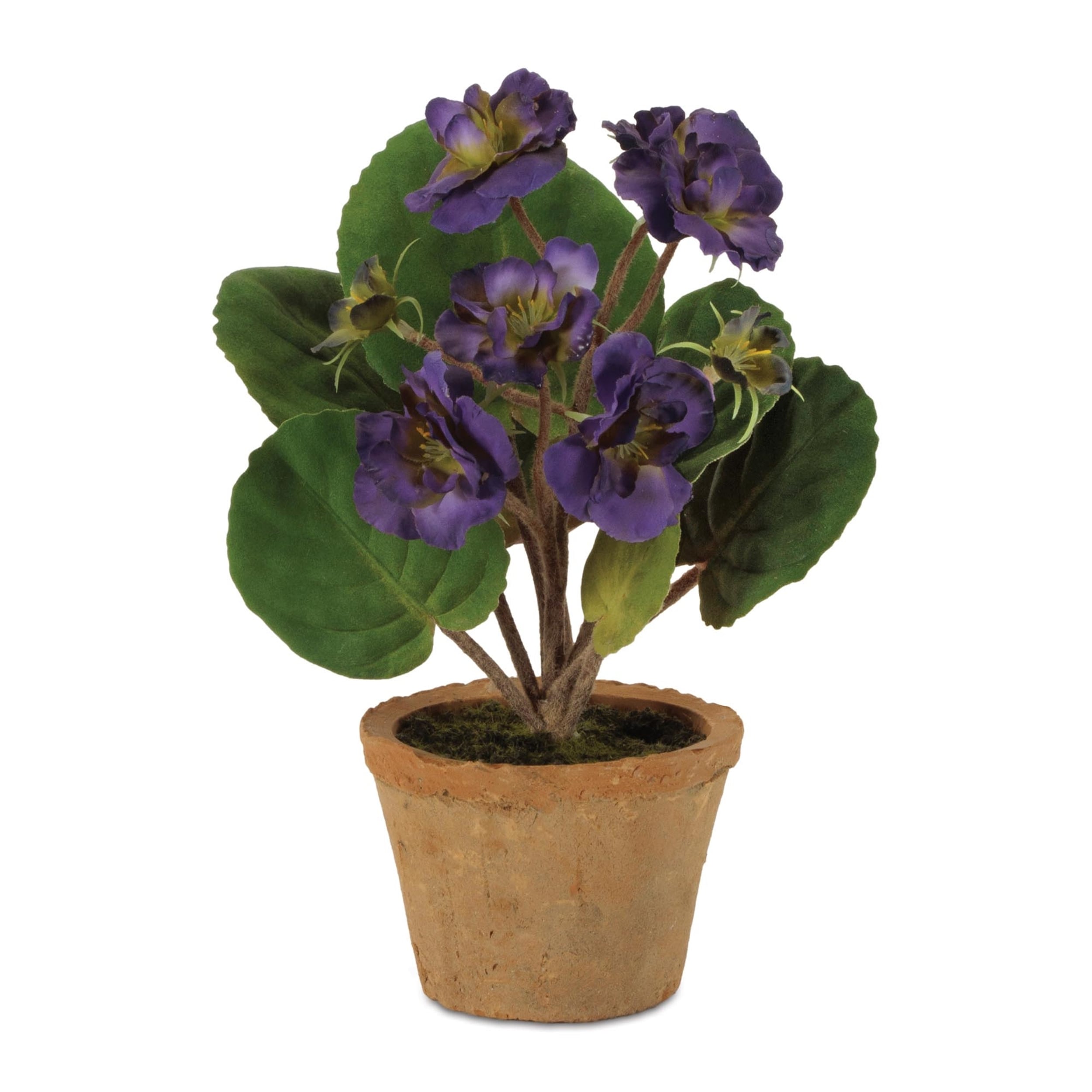 Floral In Terra Cotta Pot Set Of 2