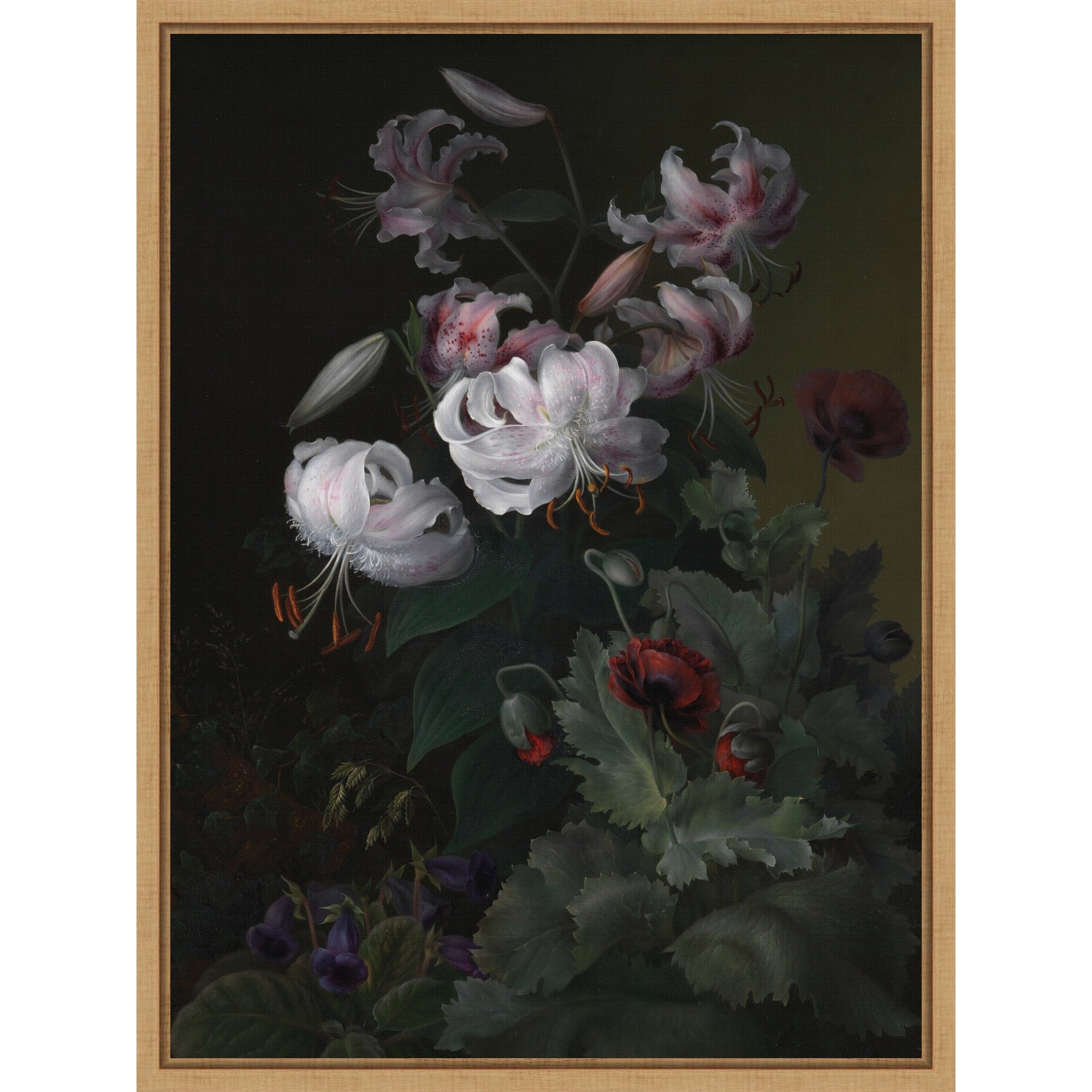 Flowering Plants By Hermania Sigvardine Neergaard Framed Canvas Wall Art