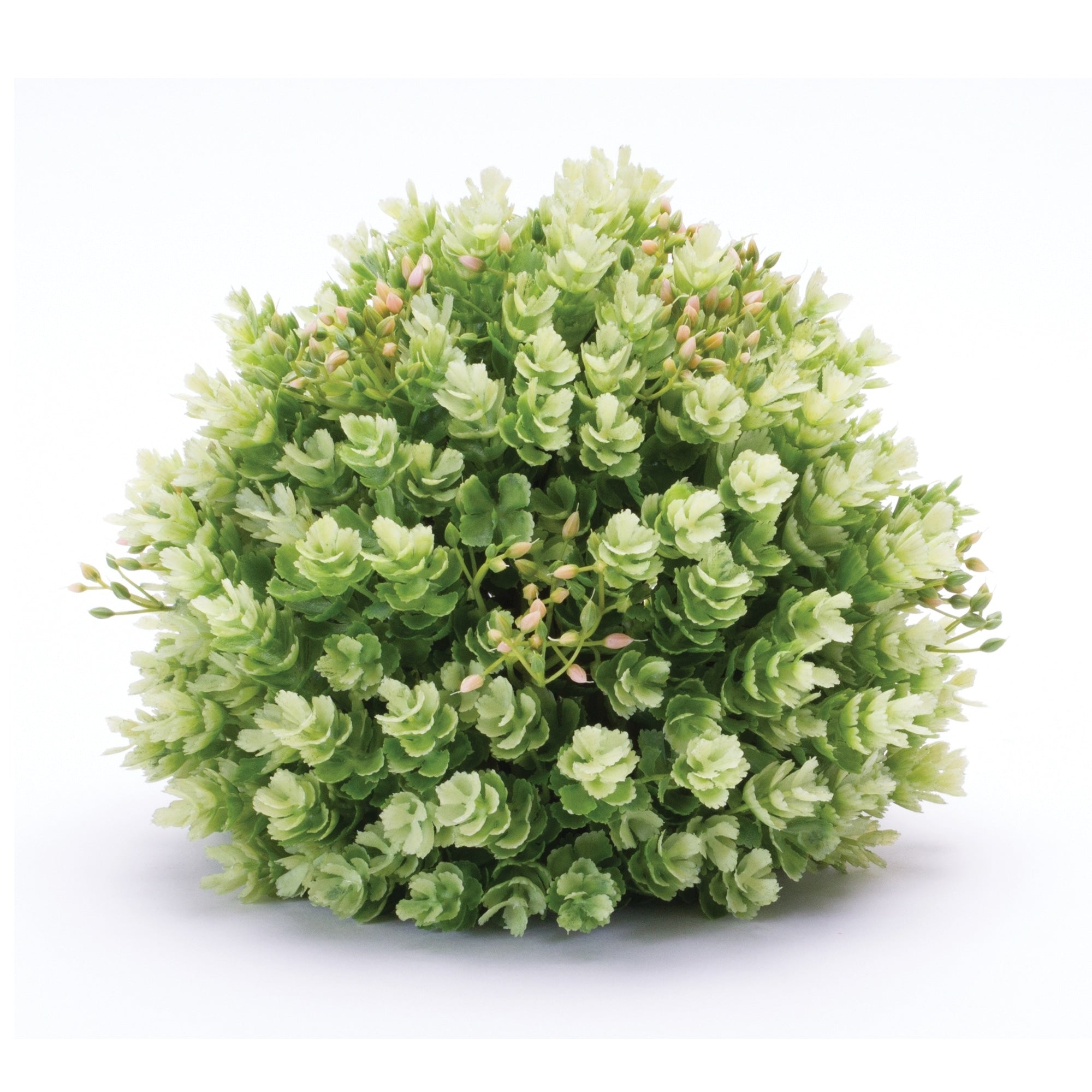 Foliage Half Orb Set Of 2