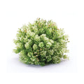 Foliage Half Orb Set Of 2
