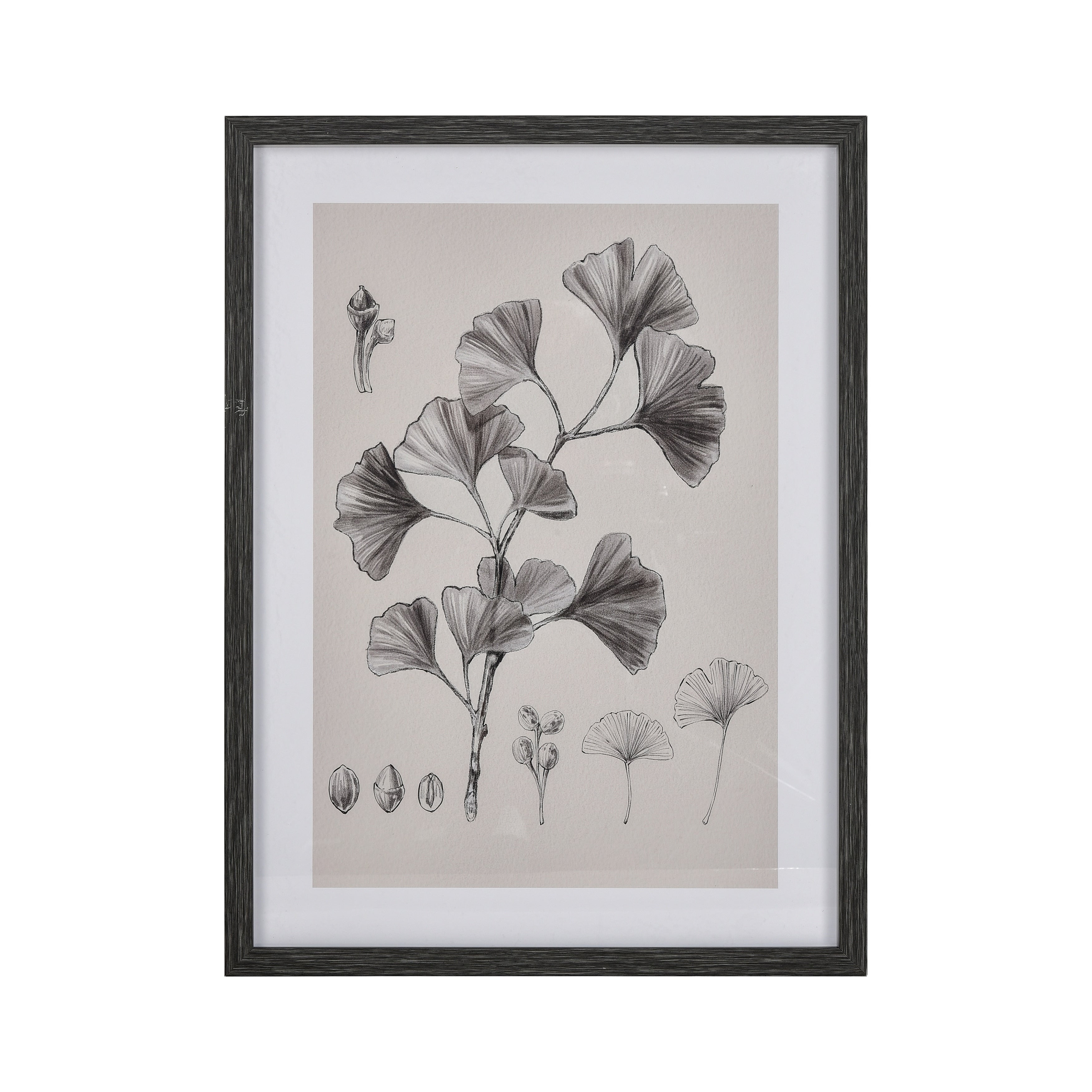 Foliage Ii Framed Wall Art Ivory