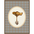 Forage Wild Mushroom I By Wild Violets Framed Canvas Wall Art