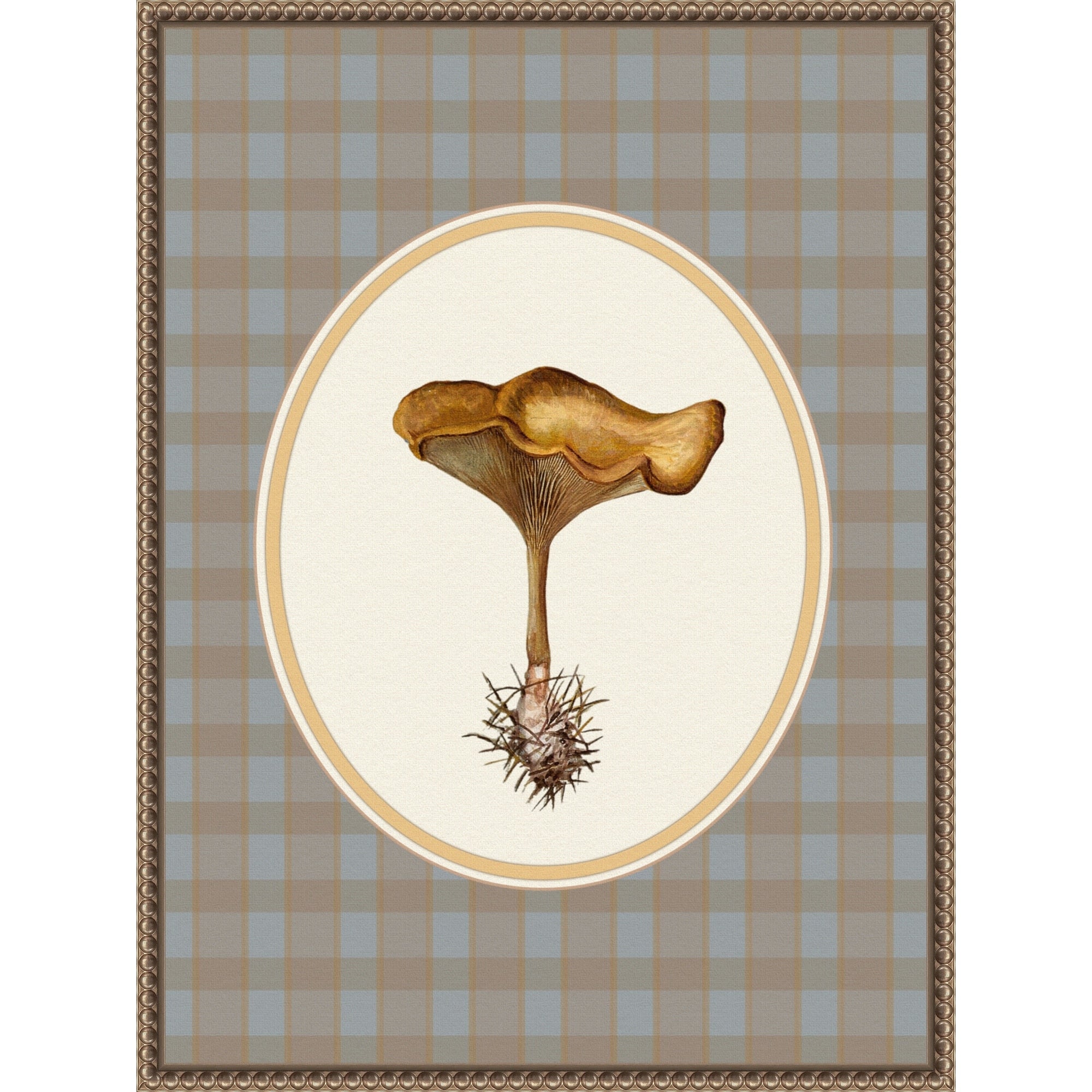 Forage Wild Mushroom I By Wild Violets Framed Canvas Wall Art