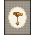 Forage Wild Mushroom I By Wild Violets Framed Mounted Canvas Wall Art Print