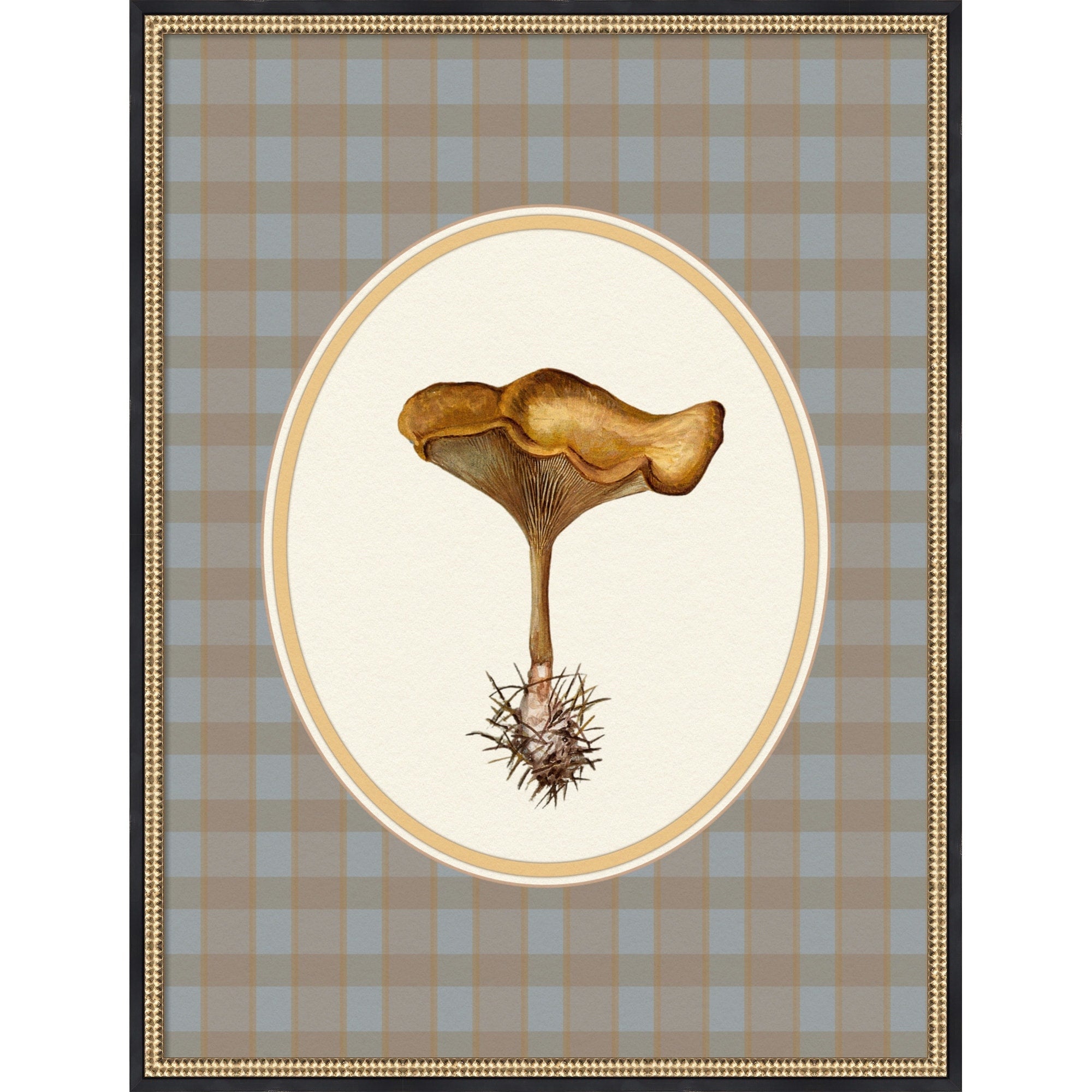 Forage Wild Mushroom I By Wild Violets Framed Mounted Canvas Wall Art Print