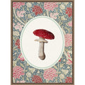 Forage Wild Mushroom Iii By Wild Violets Framed Canvas Wall Art