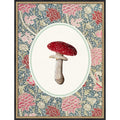 Forage Wild Mushroom Iii By Wild Violets Framed Mounted Canvas Wall Art Print