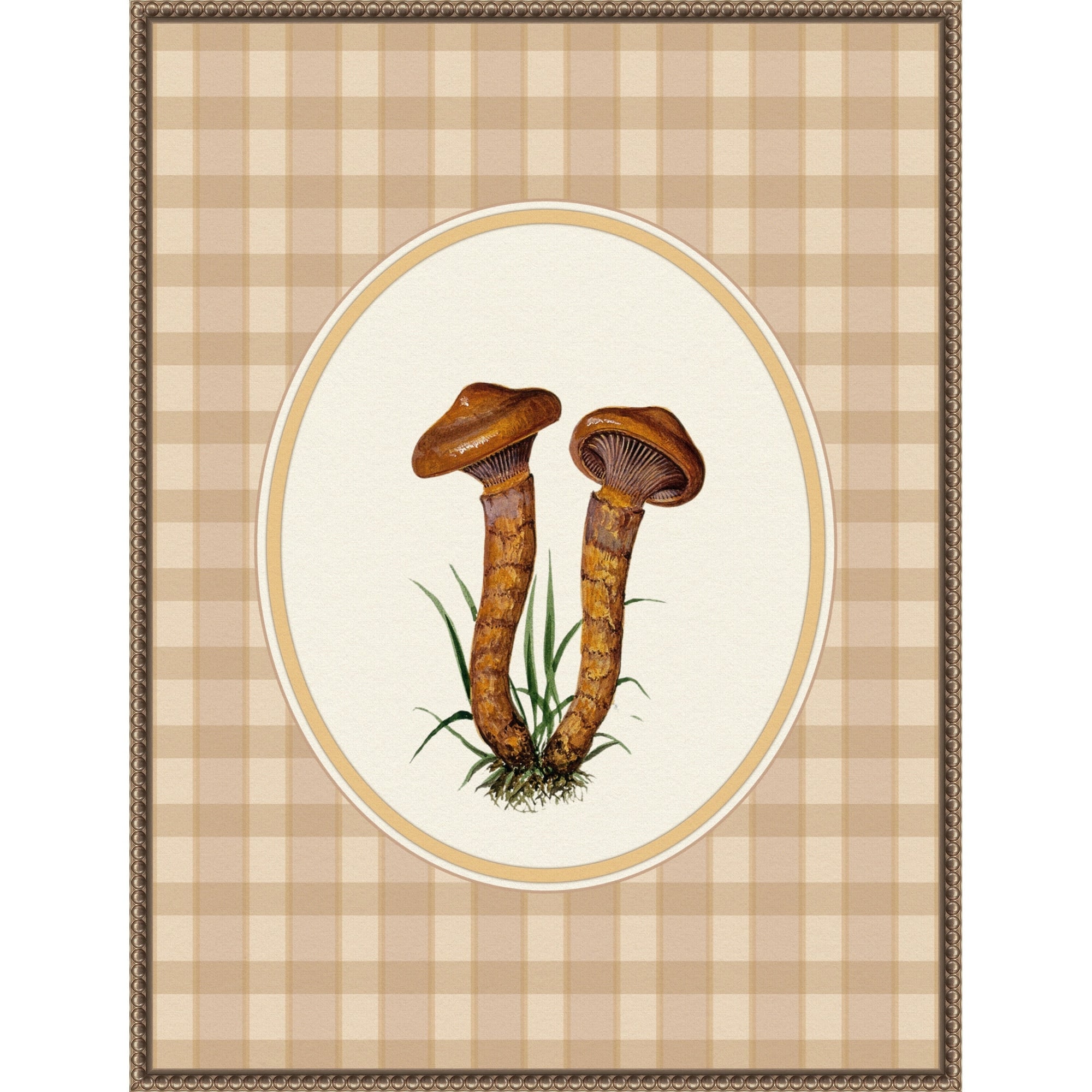 Forage Wild Mushroom No.4 By Wild Violets Framed Canvas Wall Art