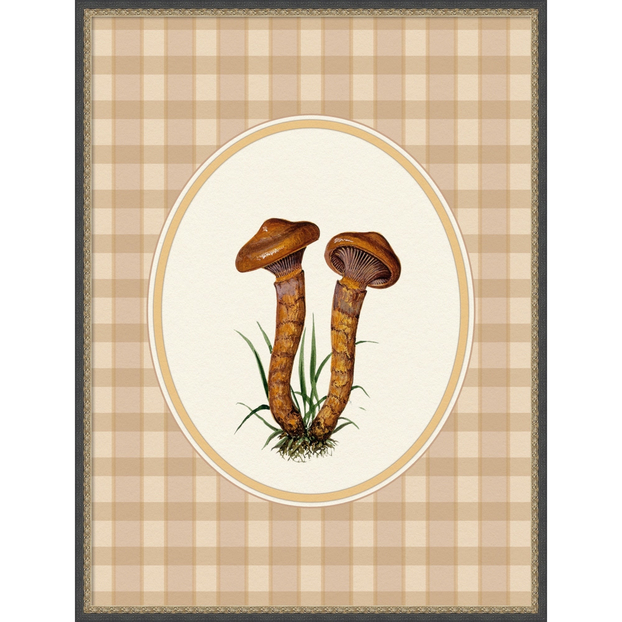 Forage Wild Mushroom No.4 By Wild Violets Framed Mounted Canvas Wall Art Print