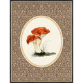 Forage Wild Mushroom No.6 By Wild Violets Framed Mounted Canvas Wall Art Print