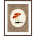 Forage Wild Mushroom No.6 By Wild Violets Wood Framed Wall Art Print