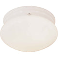 Forte Lighting 6003 3 Functional Flushmount Ceiling Fixture From The