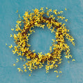 Forthysia Twig Wreath 22