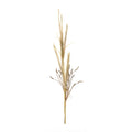 Foxtail Grass Spray Set Of 2