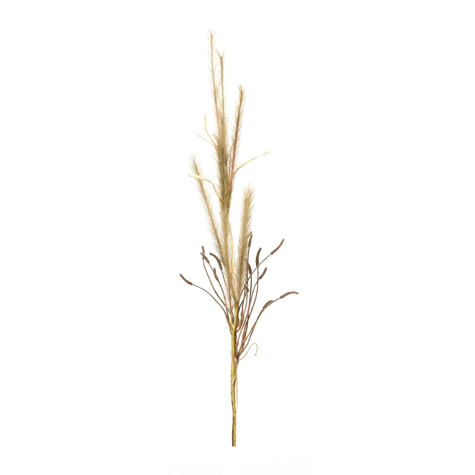 Foxtail Grass Spray Set Of 2