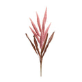 Foxtail Plume Stem Set Of 2