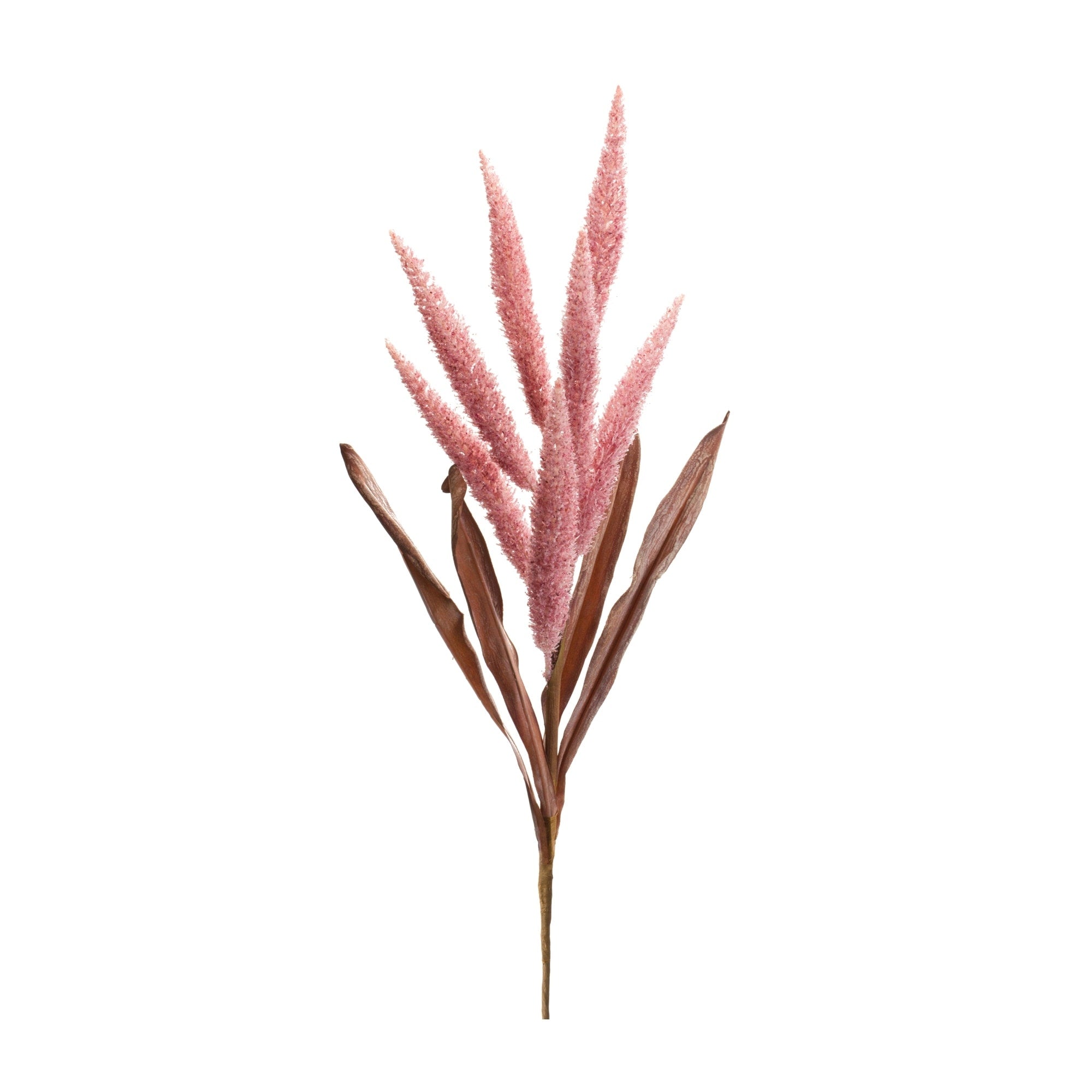 Foxtail Plume Stem Set Of 2