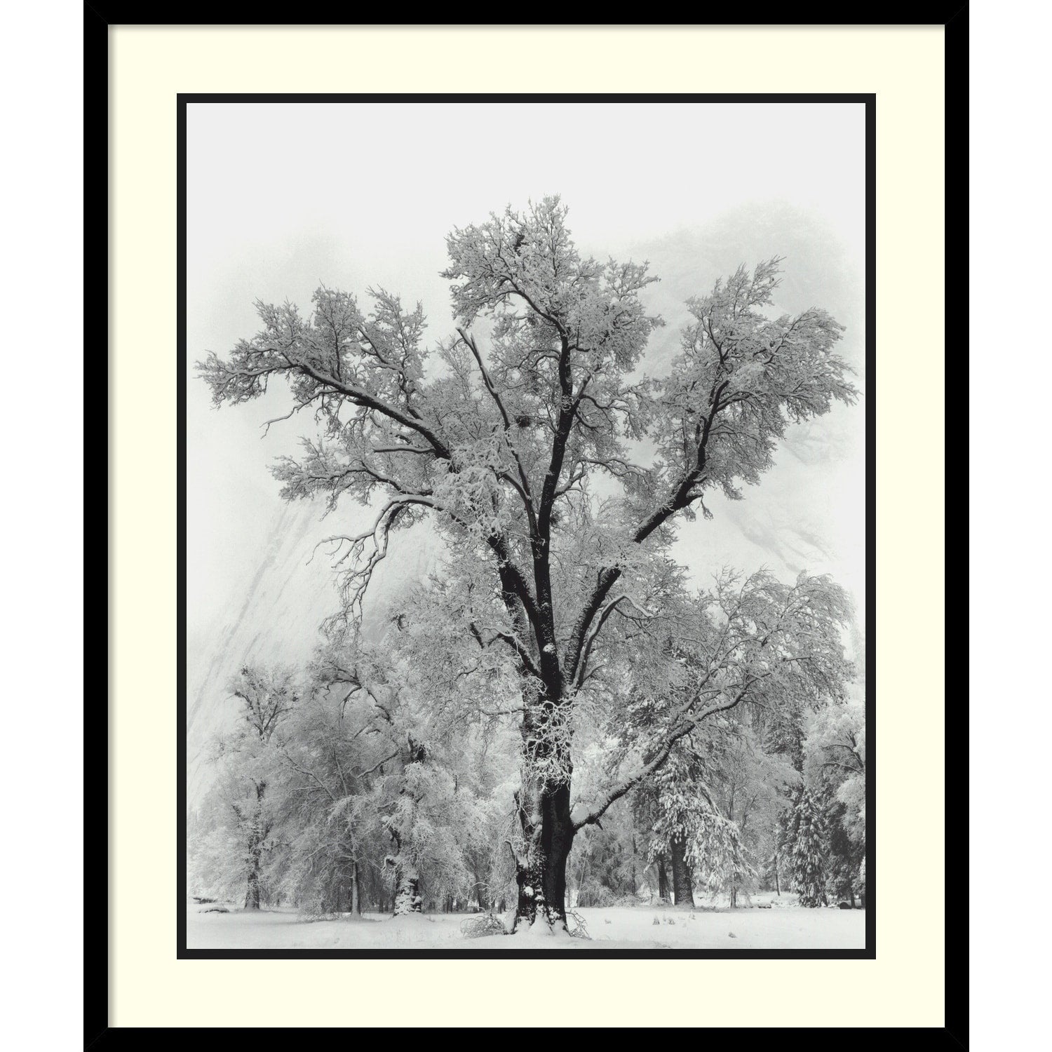 Framed Art Print Oak Tree Snowstorm Yosemite National Park 1948 By Ansel Adams 27 X 32 Inch