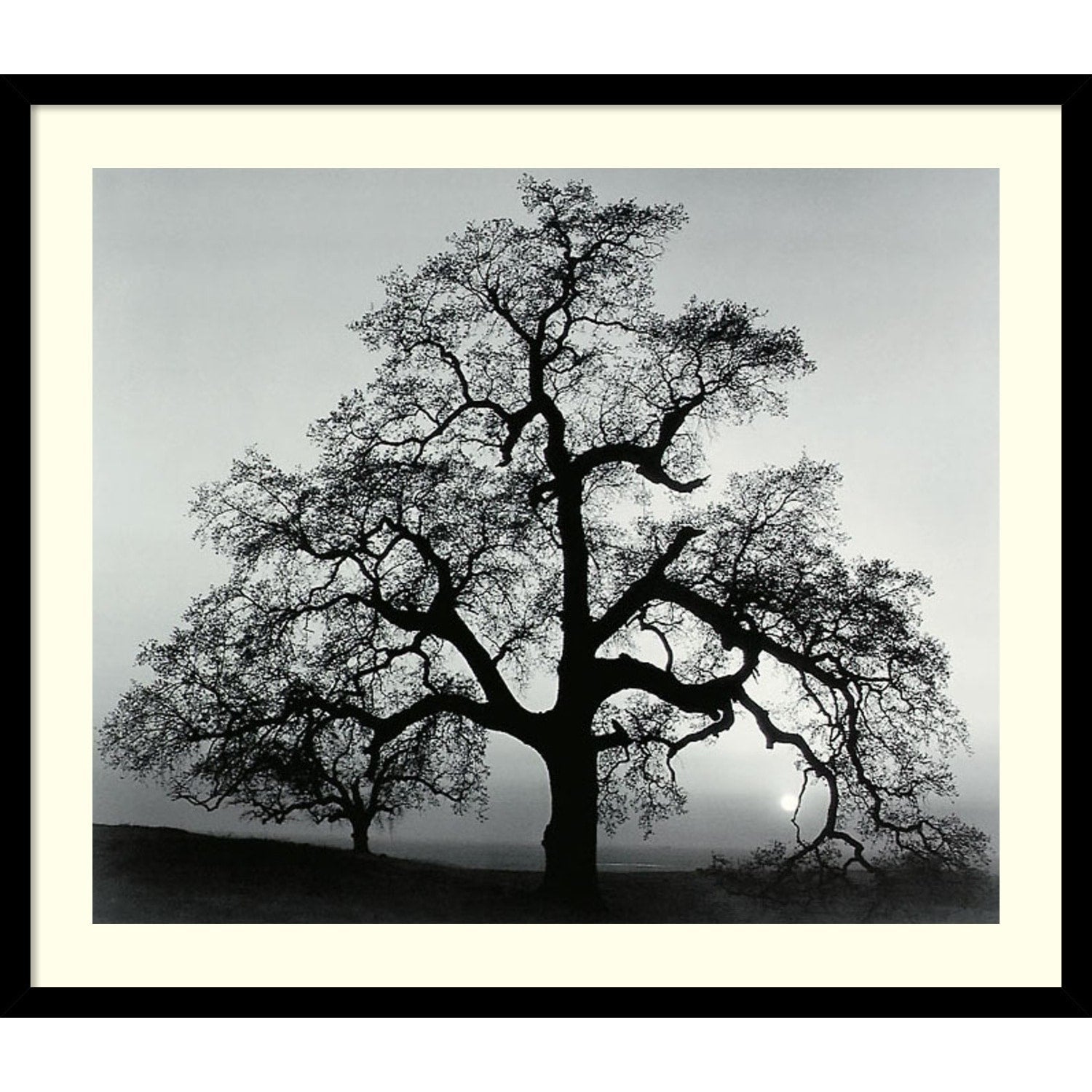 Framed Art Print Oak Tree Sunset City California 1962 By Ansel Adams 27 X 23 Inch