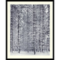 Framed Art Print Pine Forest In The Snow Yosemite National Park By Ansel Adams 25 X 31 Inch