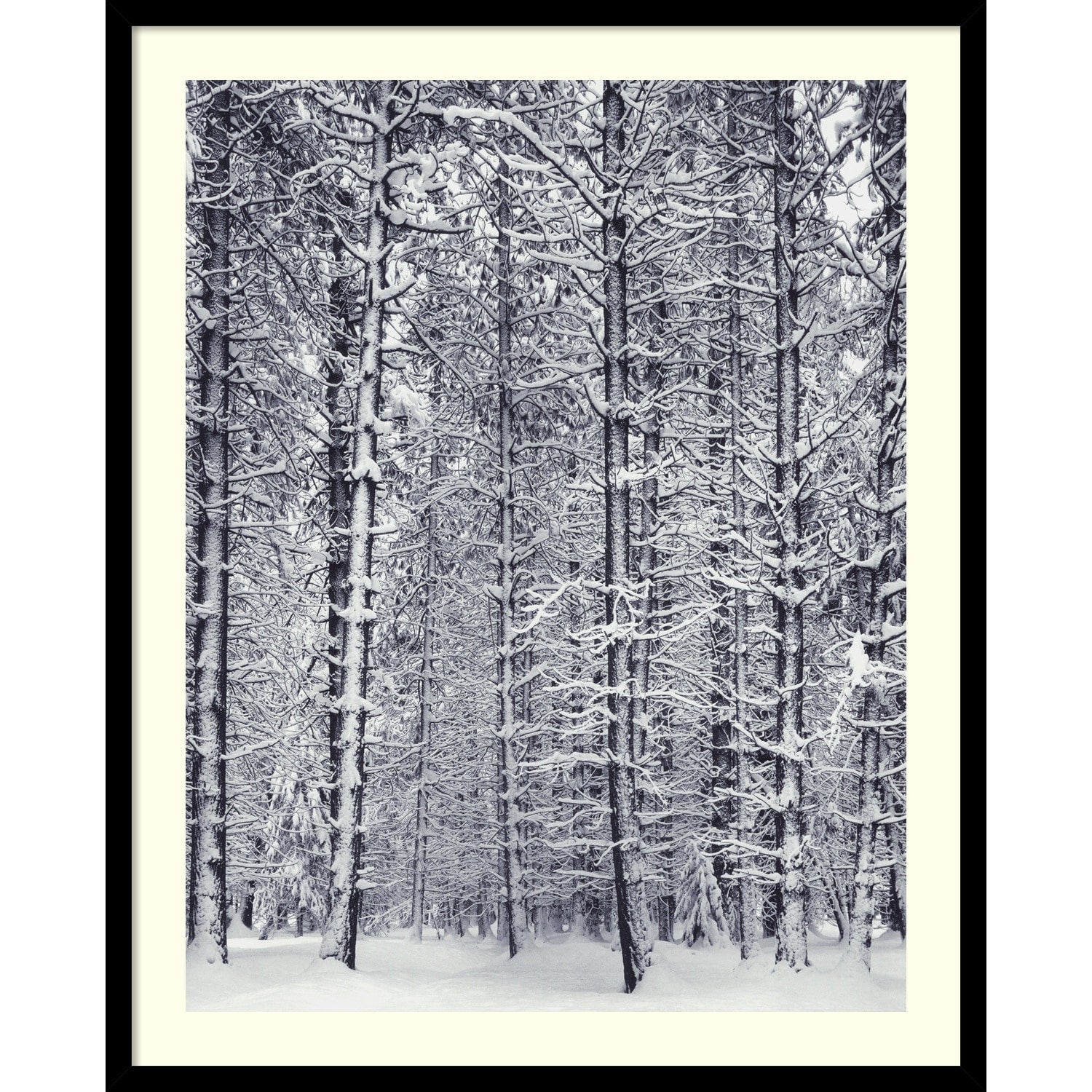 Framed Art Print Pine Forest In The Snow Yosemite National Park By Ansel Adams 25 X 31 Inch