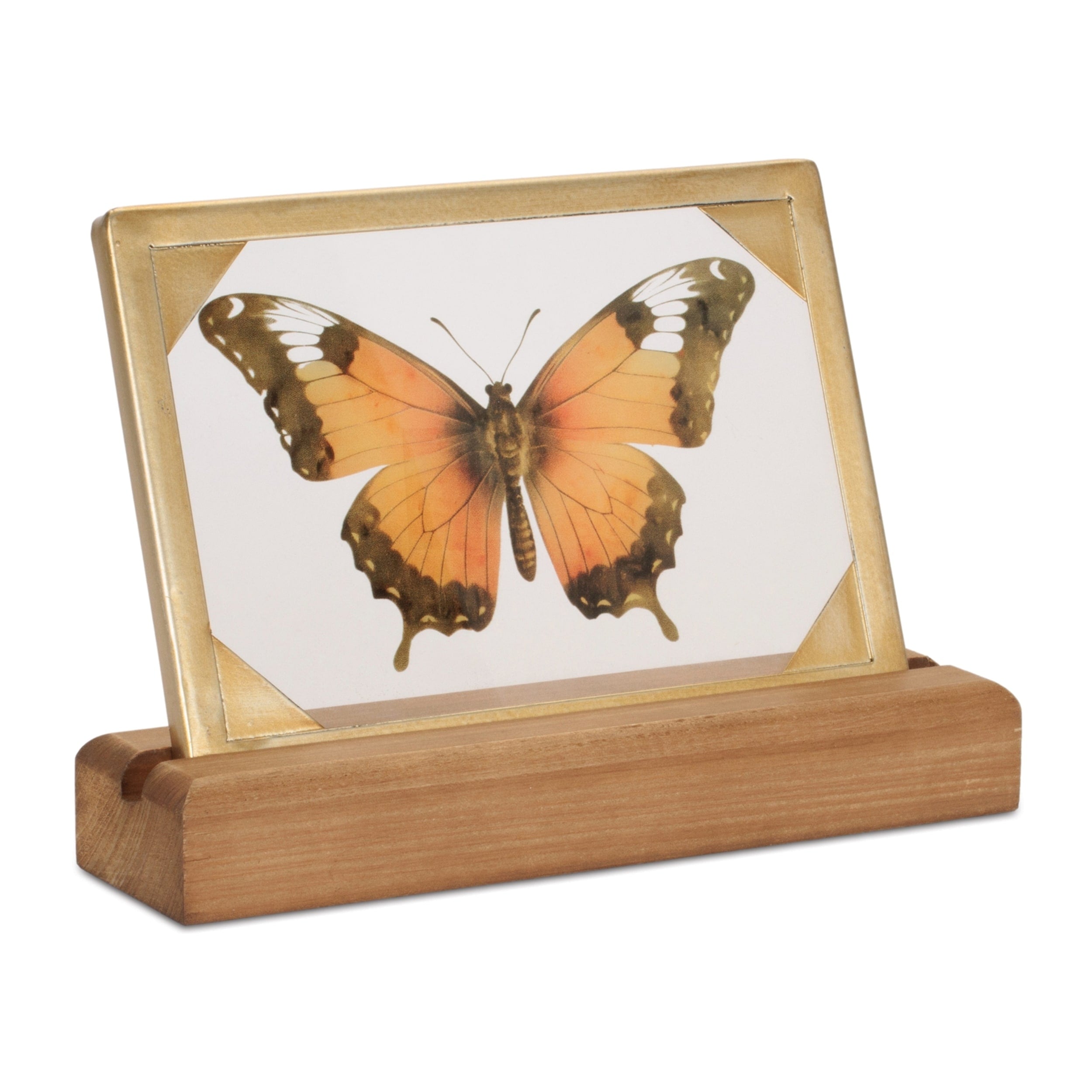 Framed Butterfly Tabletop D Cor 9 L