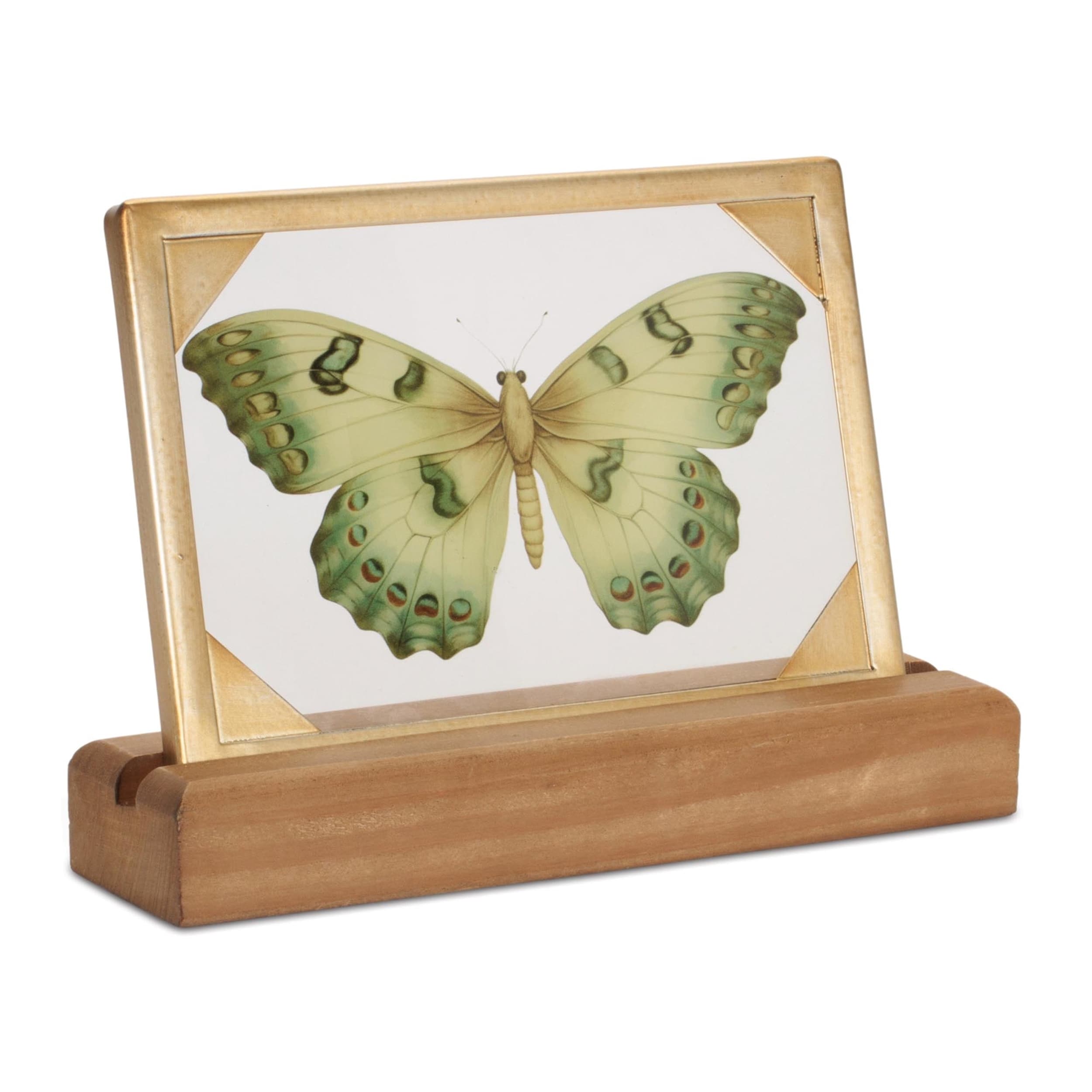 Framed Butterfly Tabletop Decor 9 L