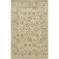Traditional Distressed Ivory Grey Floral Rug