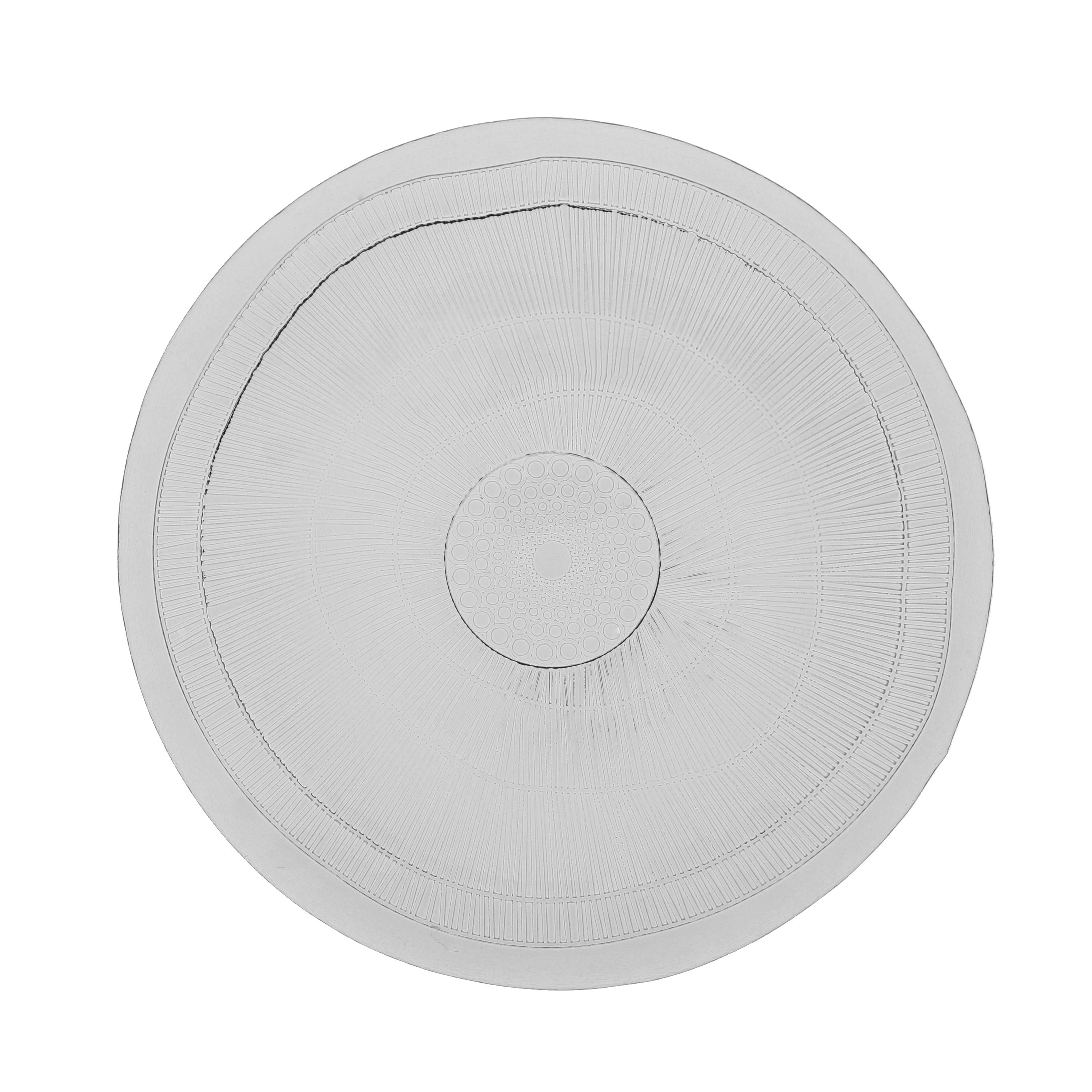 French Home Set Of 4 11 Inch Ice Clear Birch Dinner Plates