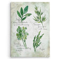 Carol Robinson Fresh Herbs Ii Gallery Wrapped Canvas Wall Art