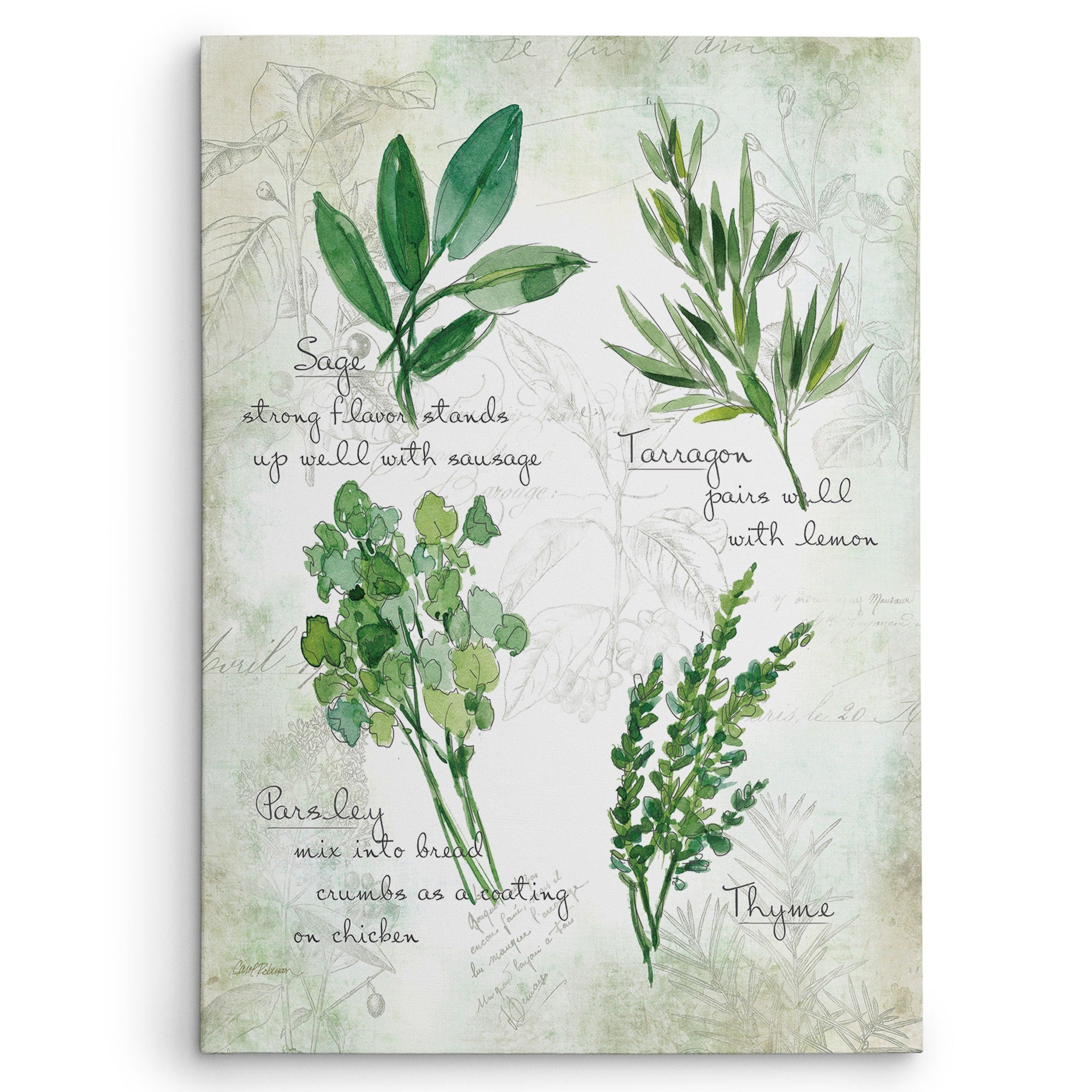 Carol Robinson Fresh Herbs Ii Gallery Wrapped Canvas Wall Art