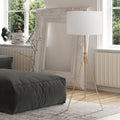 Furniture Of America Barlow Metal 1 Light Accent Tripod Floor Lamp