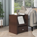Furniture Of America Regus Modern Storage End Table With Hidden Magazine Rack