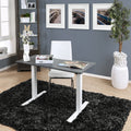 Furniture Of America Flanel Contemporary Height Adjustable Desk With Usb Power Outlet