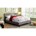 Kutty Contemporary Queen White Padded Platform Bed By Foa