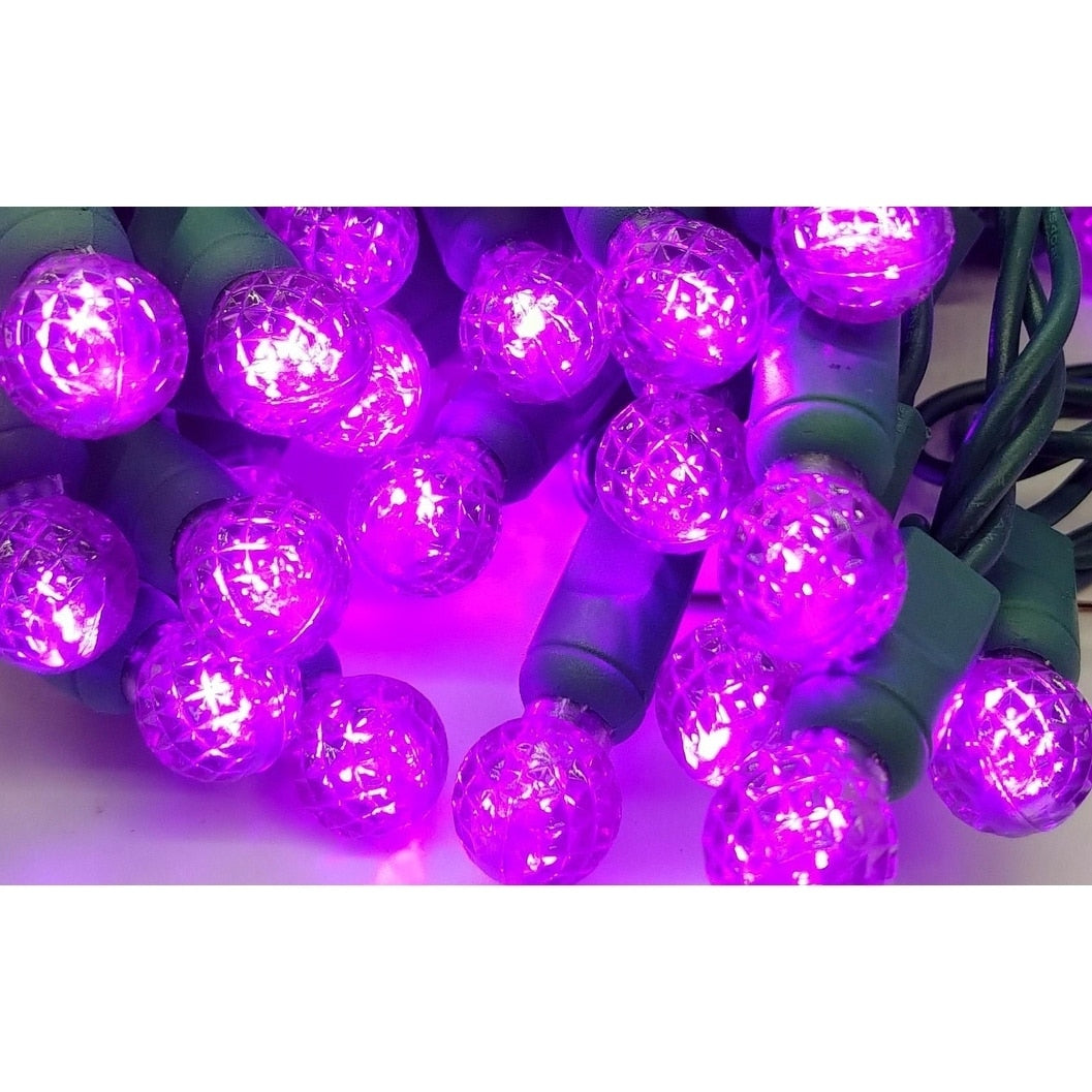 G12 Purple