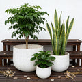 Gdfstudio Assorted Sizes Mgo Planter Pot With Weaving Pattern For Indoor Outdoor Set Of 3