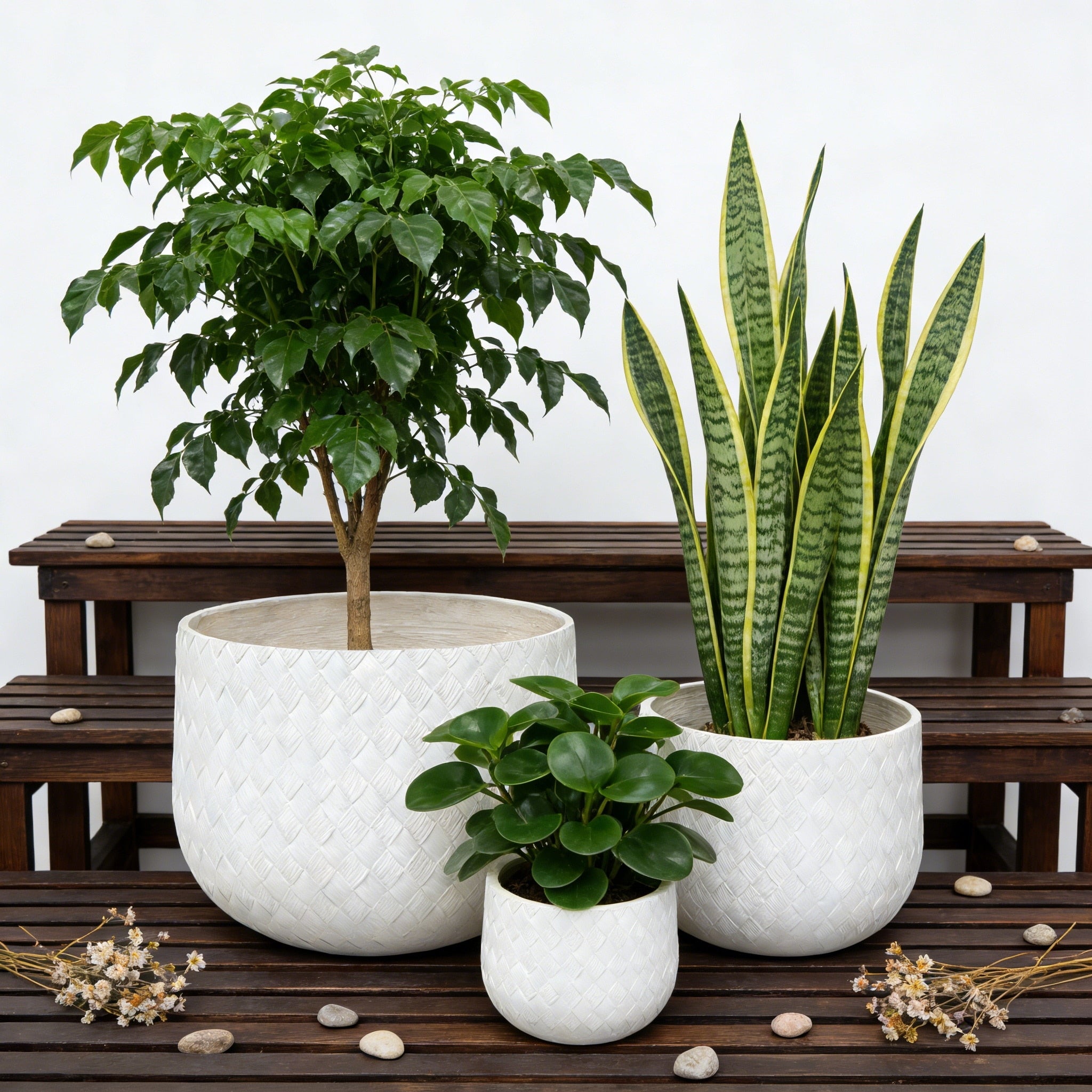 Gdfstudio Assorted Sizes Mgo Planter Pot With Weaving Pattern For Indoor Outdoor Set Of 3
