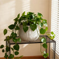 Gdfstudio Modern Indoor Outdoor 11 Round Mgo Planter With Drainage Holes