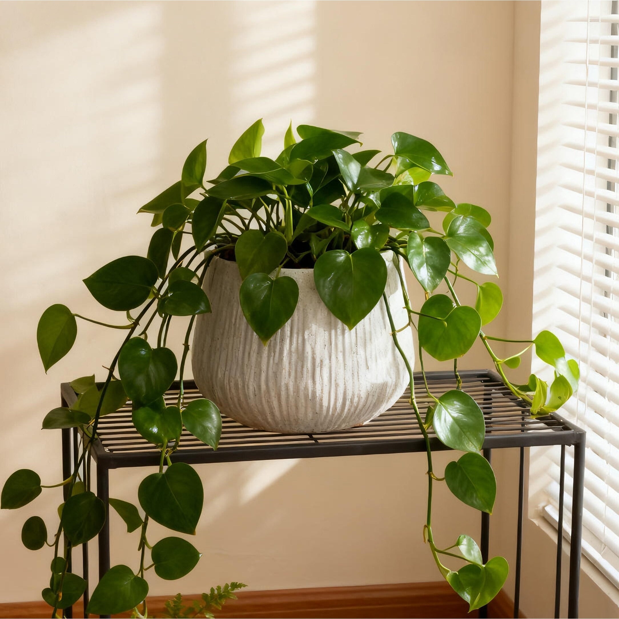 Gdfstudio Modern Indoor Outdoor 11 Round Mgo Planter With Drainage Holes